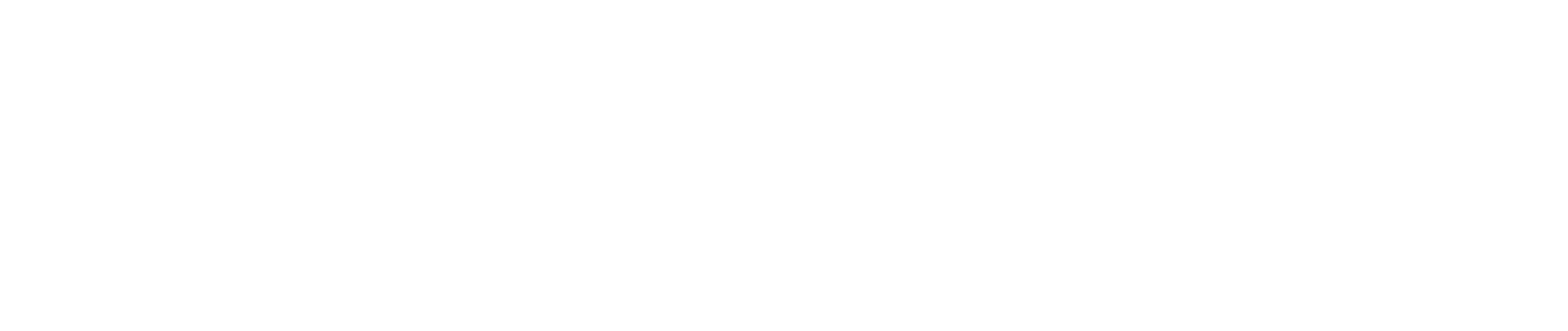 Main Logo